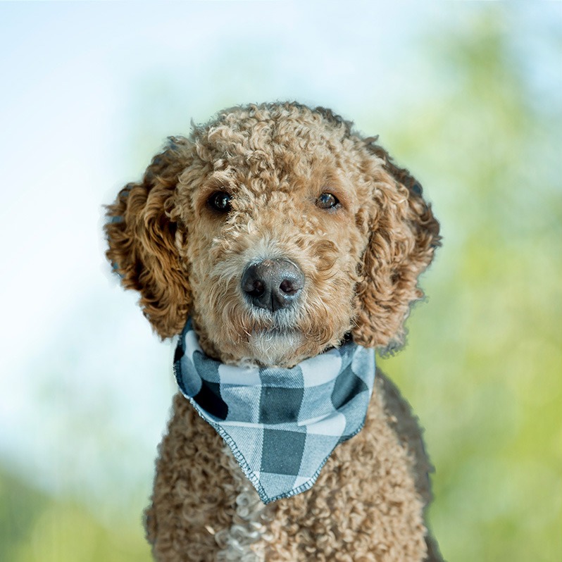 26 DSC_2126 HG Grün Q